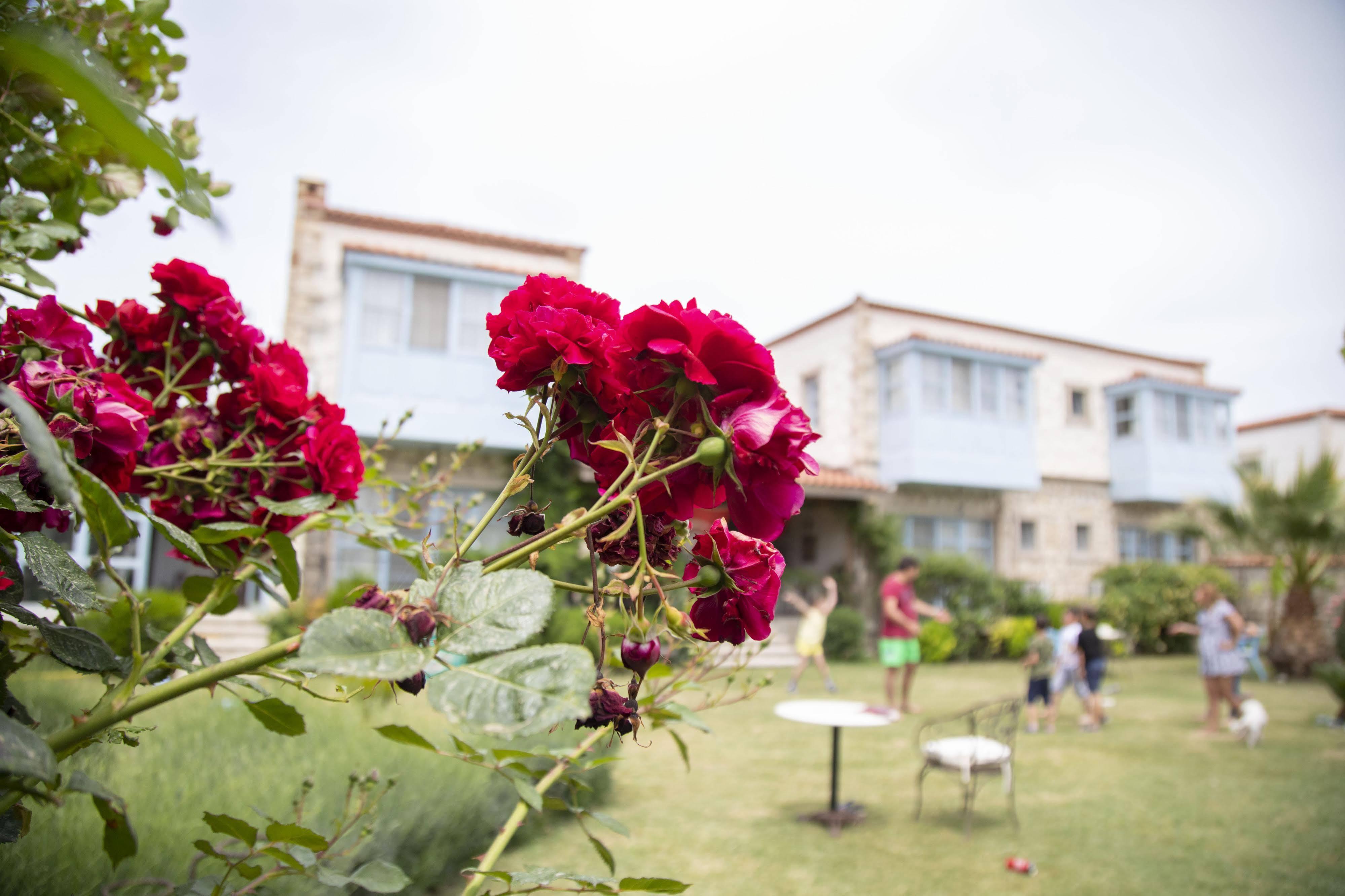 Dort Mevsim Alacati Exterior photo